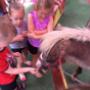 Uploaded by visitor on 13/9/2017 - Springfield Children’s Development Centre