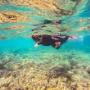 Snorkelling in the Whitsundays