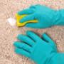 Carpet Cleaning