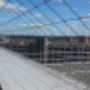 bird netting
