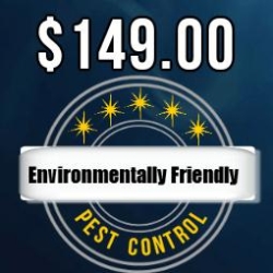 Pest Control Brisbane Gold Coast