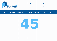 Polynyl Plastics's website