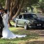 Shelby GT500 Eleanor 390 Big Block