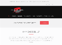 Tint Professionals's website