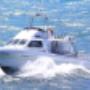 Fishing charter port phillip bay