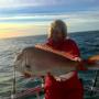 snapper fishing charter boat
