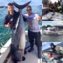 Blue Fin Tuna Fishing Portland