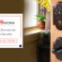 electricians carrum downs