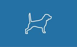 Your Property Hound