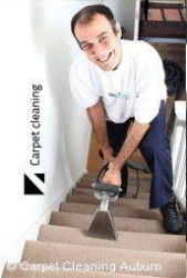 Carpet Cleaning Auburn