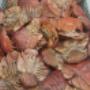 Fresh,-Fine Quality-Crustaceans