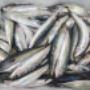 Uploaded by visitor on 18/5/2017