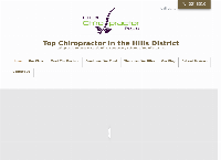 Hills Chiropractor Pros's website