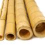 bamboo poles