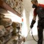 Pest Control Brisbane