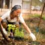 Uploaded by visitor on 31/5/2017 - Horticulture Courses - North Regional TAFE
