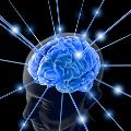 HOW TO CHOOSE THE BEST ACUPUNCTURE ADELAIDE RESIDENTS CAN FIND