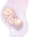 PRE AND POST NATAL CARE