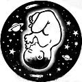 FERTILITY