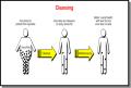 RENEWED VITALITY WEIGHT LOSS PROGRAM