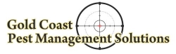 Gold Coast Pest Management Solutions