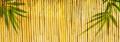 Bamboo Fencing