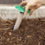 Termite management