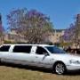 Sunshine Coast Stretch Limo Hire