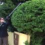 Premium Gekko Gardening