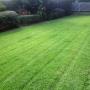 Premium Gekko Gardening