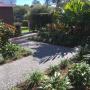 Premium Gekko Gardening