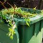 Green Waste Removal