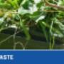 Green Waste