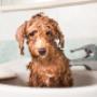 basin repairs mornington peninsula