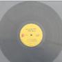 Vinyl Records Sleeves