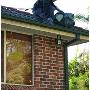 Uploaded by visitor on 24/7/2017 - House Gutter Cleaning