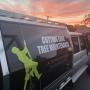 Cutting Edge - Tree Removal Experts