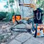 tree loppers Newcastle