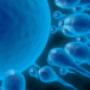 fertility-issues