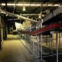 cabling-proces-line