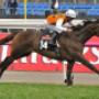 Regal Bloodstock