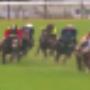 Regal Bloodstock