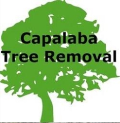 Tree Removal Wellington Point