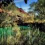 Fern Pool