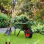 Uploaded by visitor on 4/9/2017 - GARDENING