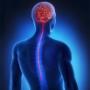 Brain & Spine Surgeon