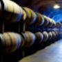 Trade wine solutions celler