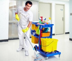 House Cleaner and Cares