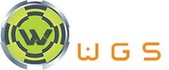 World Global Solutions