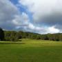 Driving Range Albany